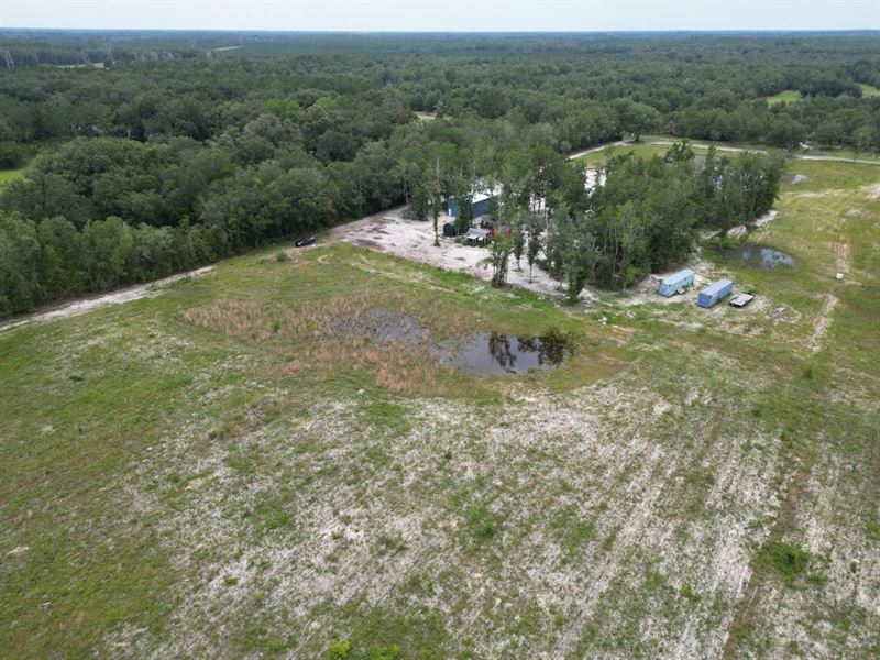 60 Acres in Live Oak : Live Oak : Suwannee County : Florida