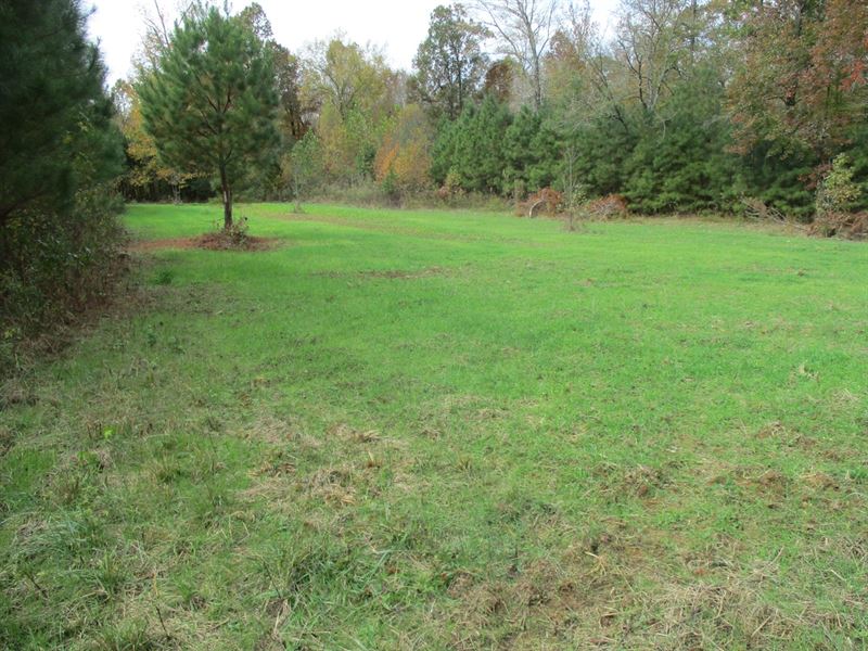 36 Acre Hunting Property Southern : Ramer : McNairy County : Tennessee
