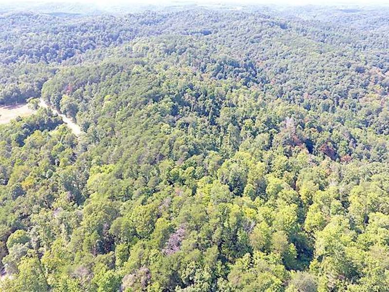 Pleasant Ridge Rd, 30 Acres, Farm for Sale in Ohio, 182153 FARMFLIP