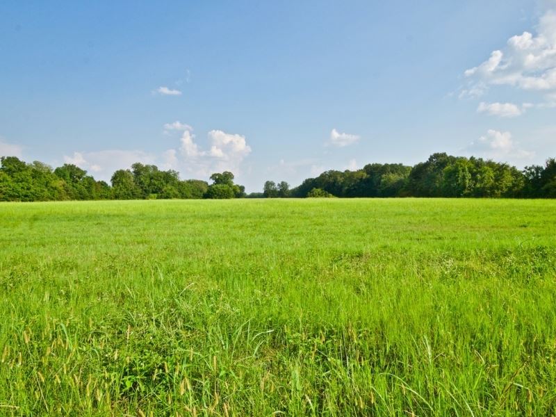 472 Acre Pasture Investment Montros : Mora : Natchitoches Parish : Louisiana