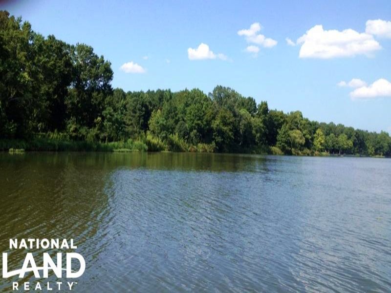Tombigbee Riverfront Lots, Farm for Sale in Alabama, 18233 FARMFLIP