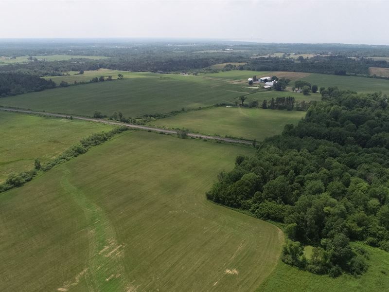 Farm Acreage and Home in Pulaski, Farm for Sale in New York, 182480