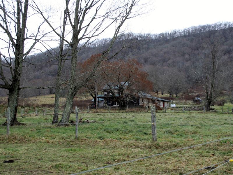 75 Acres Southern Blue Grass Valley, Farm for Sale in Virginia, 182556