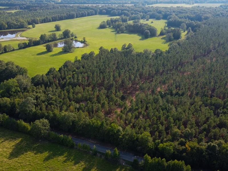 21 Acres Highway 47 : West Point : Clay County : Mississippi