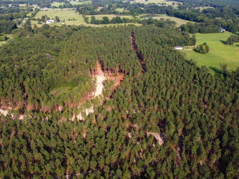 32 Acres Shady Ln Clay County : West Point : Clay County : Mississippi