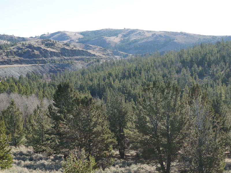 Slate Creek Lot 5 : Lander : Fremont County : Wyoming