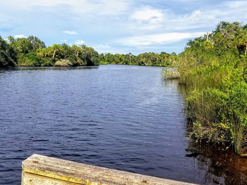 Riverfront Property, Bradenton : Bradenton : Manatee County : Florida