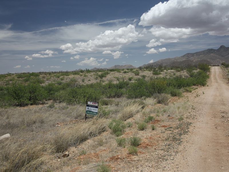Vacant Farm Land Willcox AZ Cochise, Farm for Sale in Arizona, 182719