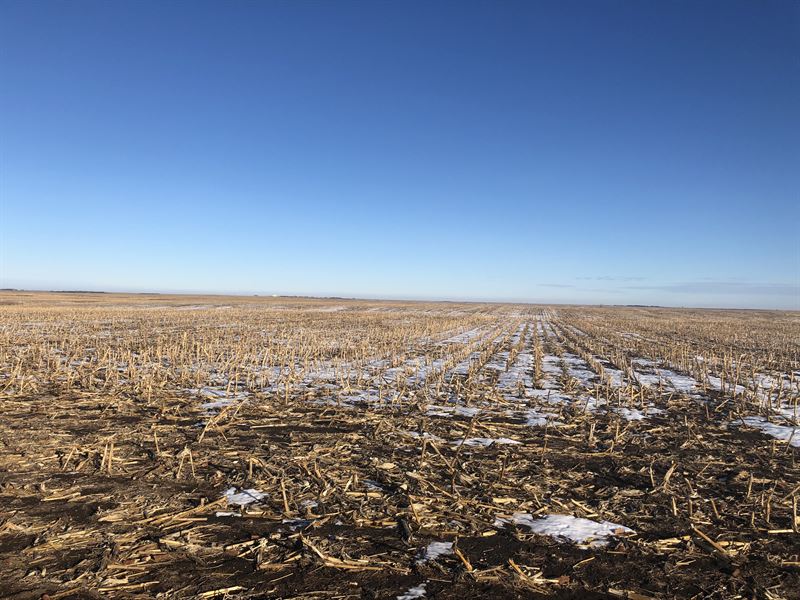 Faulk County Farm Land Auction, Farm Auction in South Dakota, 182775 FARMFLIP