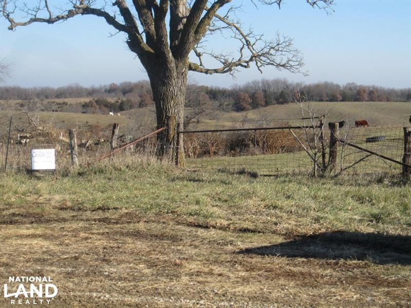 Queen City Pasture & Hunting Farm for Sale in Queen City, Schuyler