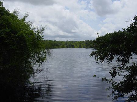 Winquepin Plantation : Madison : Madison County : Florida