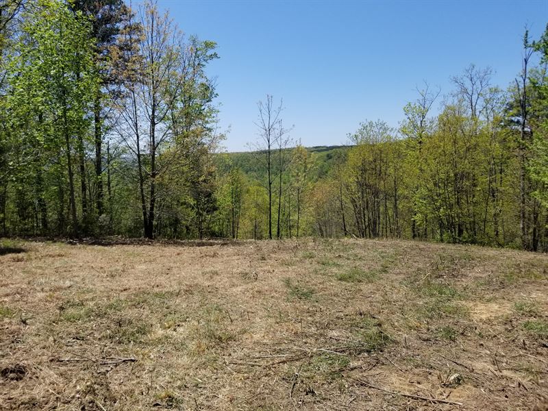 7.54+/- Acres Beautiful Mtn Views : South Pittsburg : Marion County : Tennessee