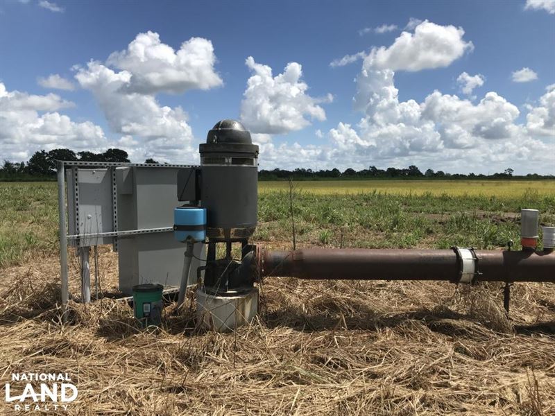 Good Swla Rice and Crawfish Farm, Farm for Sale in Louisiana, 183126