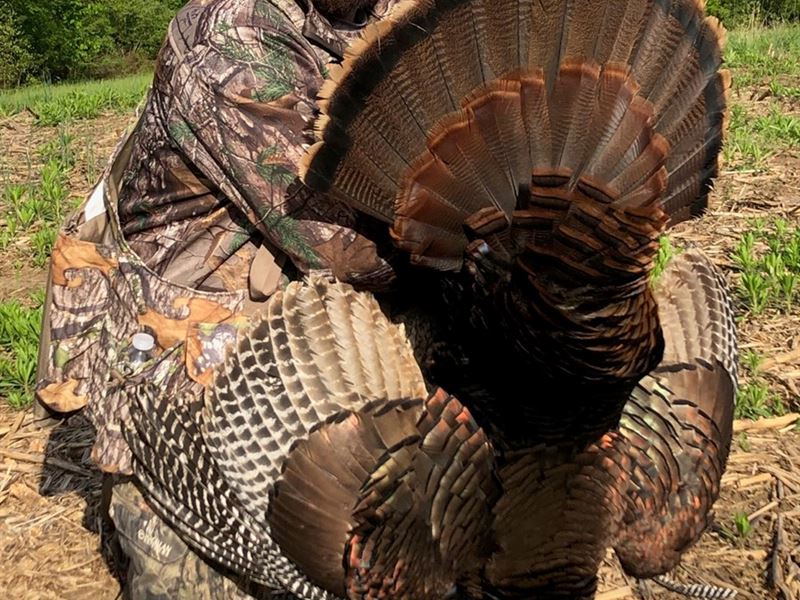 Howard County Missouri Deer Hunting, Farm for Sale in Missouri, 183148