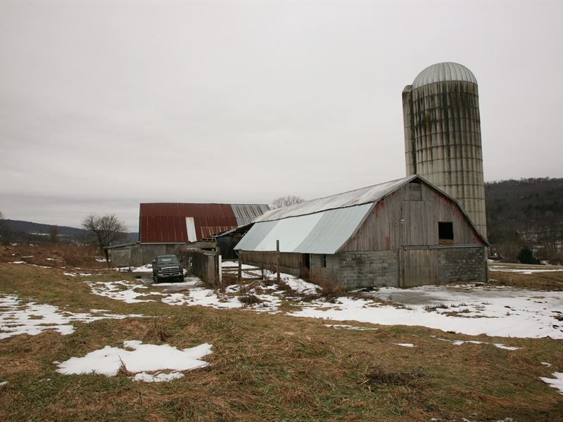 Land, 104 Acres, Newark Valley, Farm for Sale in New York, 183155
