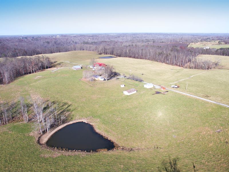 Premium 198 Ac, Working Cattle Farm, Farm for Sale in Tennessee