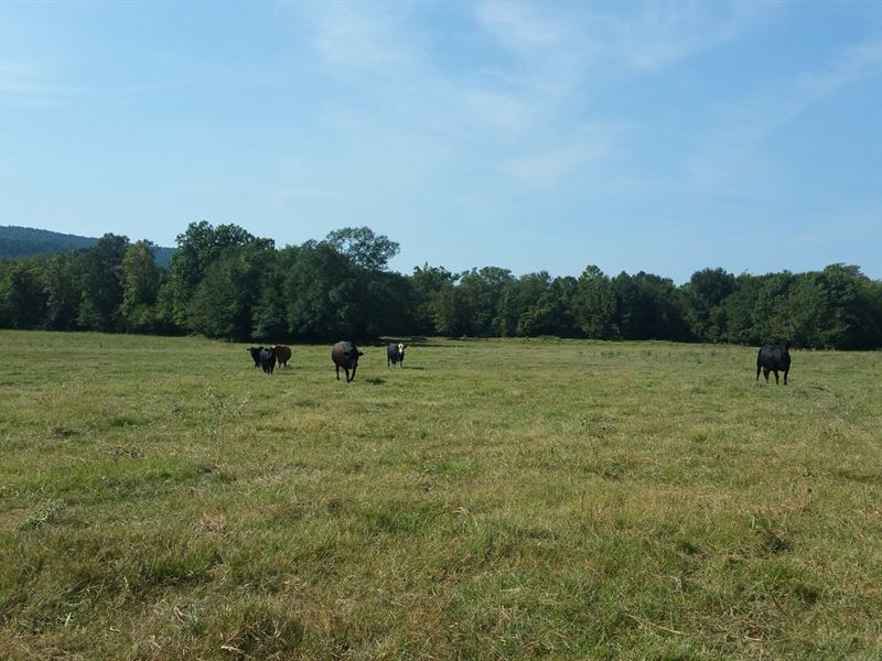 Riverfront Land Pushmataha County Farm for Sale in Clayton