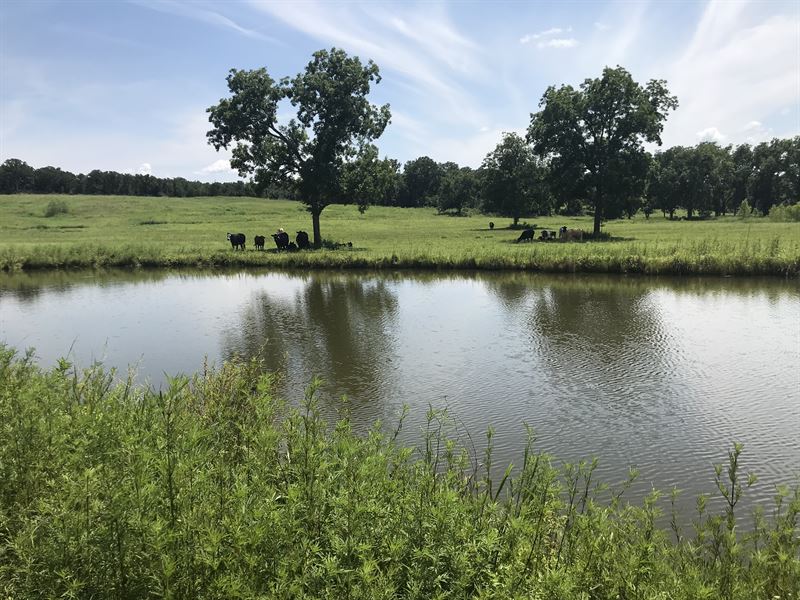 Central Ok Farmland, Spring, Pond : Tecumseh : Pottawatomie County : Oklahoma