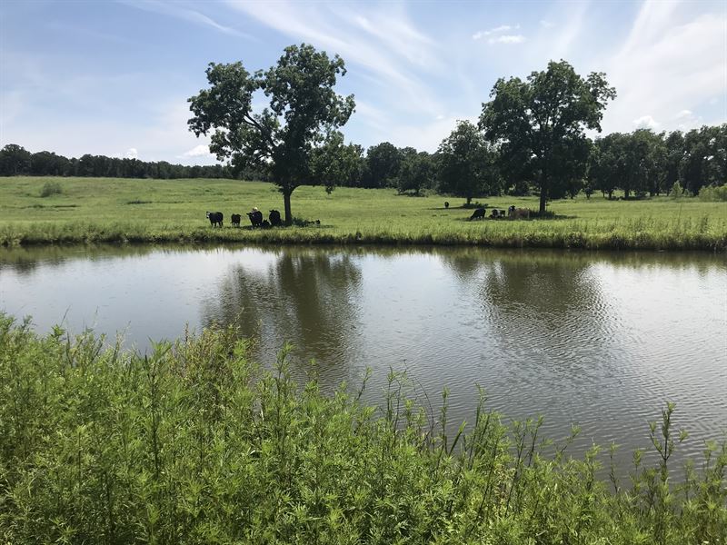 Central Ok Farmland, Spring, Pond, Farm for Sale by Owner in Oklahoma