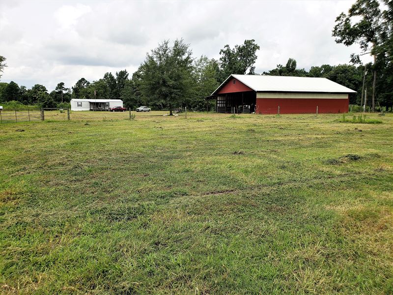 Seven Acres Farm : Saint George : Dorchester County : South Carolina