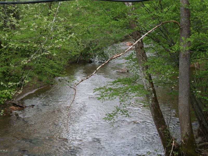 87 Acres Land Henry County, Farm for Sale in Virginia, 183603 FARMFLIP