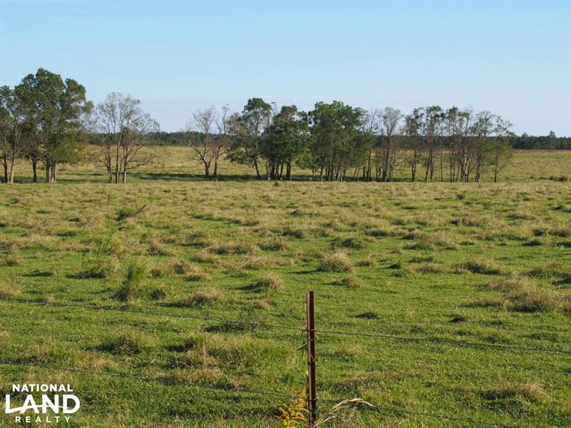 Walnut Hill Cattle Farm And Agricul Farm for Sale in Walnut Hill