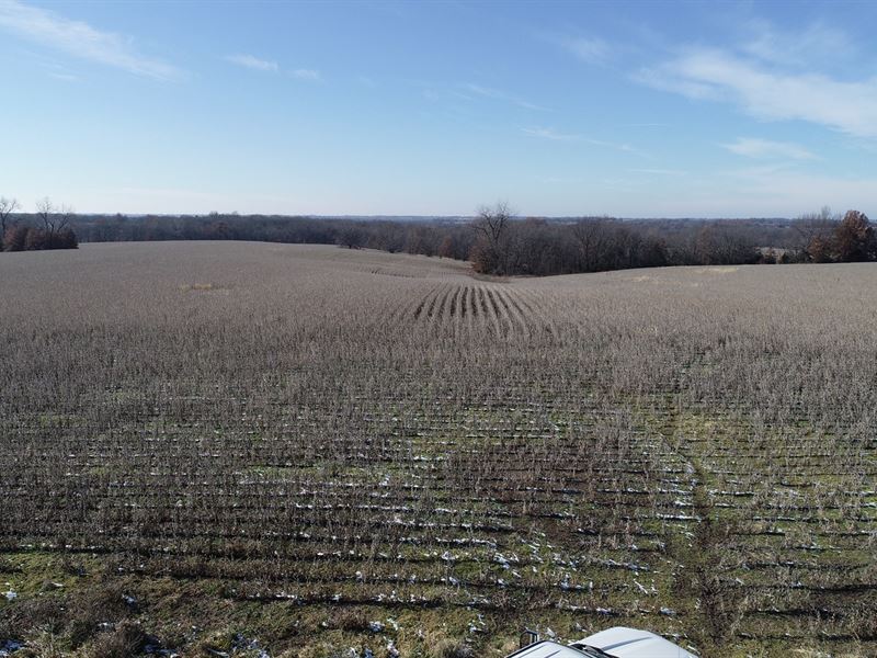 Online Only Auction Tillable Farm, Farm Auction in Missouri, 183851