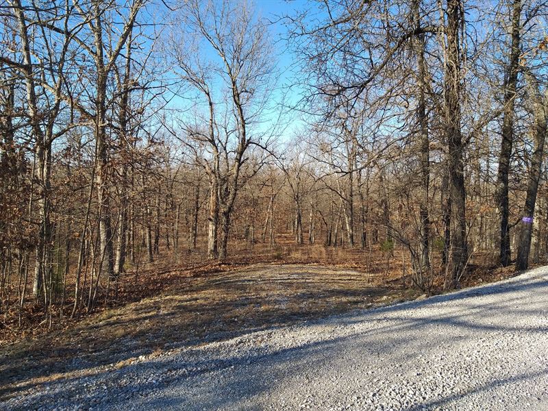 12.4 Acres for Sale in Missouri : Eldridge : Laclede County : Missouri