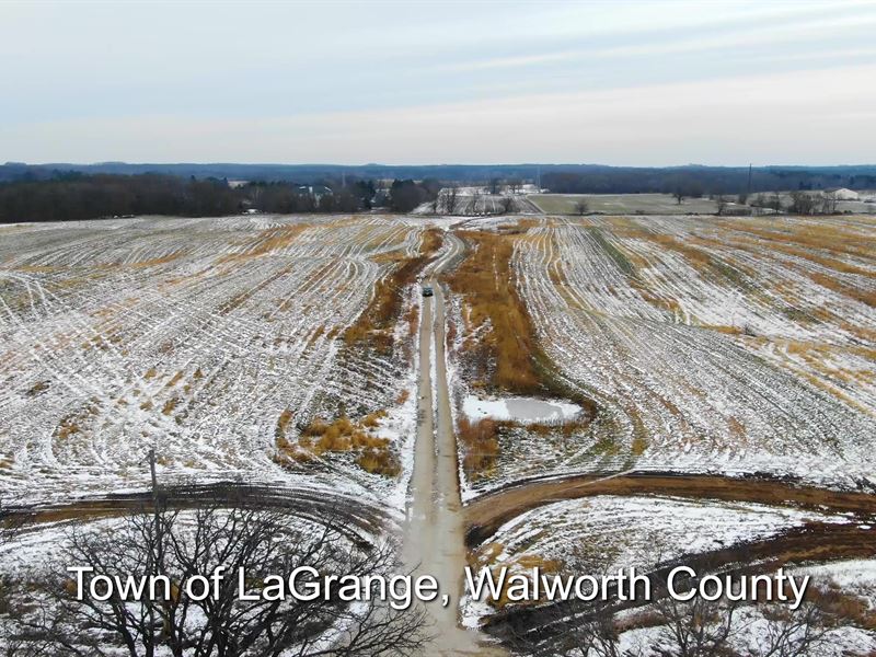 60 Ac Prime Farmland, Walworth Co : Little Prairie : Walworth County : Wisconsin