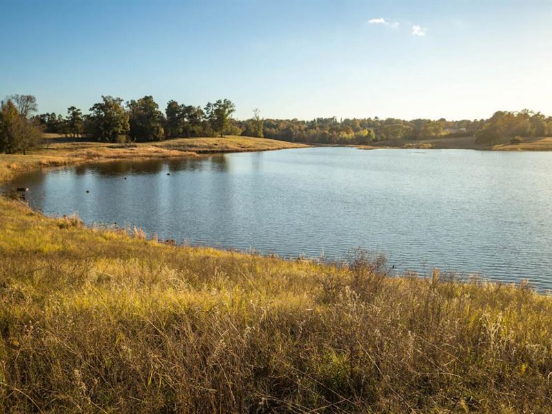 Little Cypress Ranch, Farm for Sale in Texas, 183918 FARMFLIP