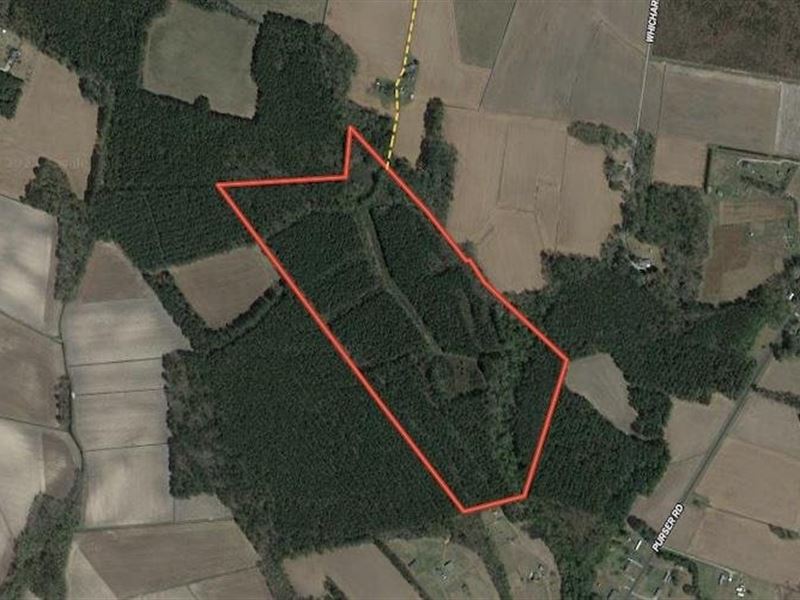 57.75 Acres of Hu : Vanceboro : Craven County : North Carolina