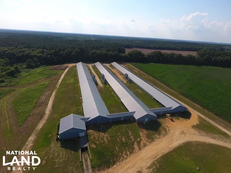Chicken Breeder Farm : Swansea : Lexington County : South Carolina