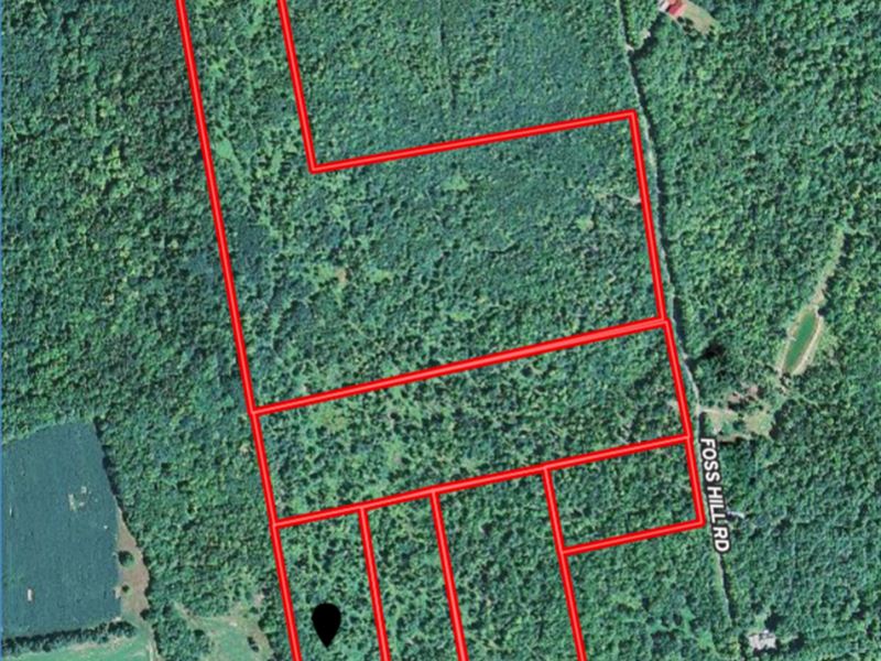 Land Lot for Sale in Garland, Maine, Farm for Sale in Maine, 184111