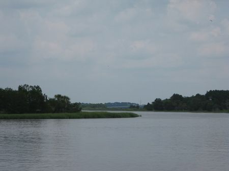 Jehossee Tract : Charleston : Charleston County : South Carolina