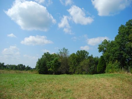 12 Acres in Upstate South Carolina : Cowpens : Spartanburg County : South Carolina