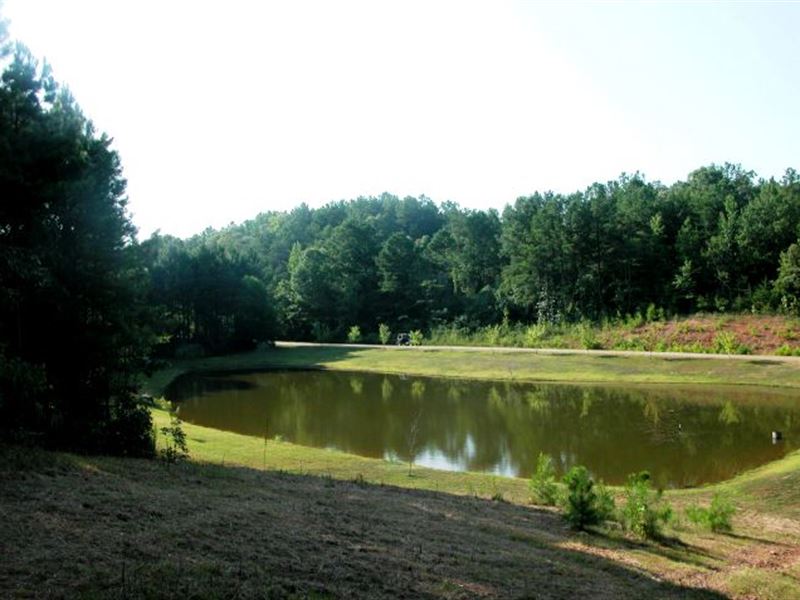 27 Acres with 2 Acre Stocked Lake : Delta : Clay County : Alabama