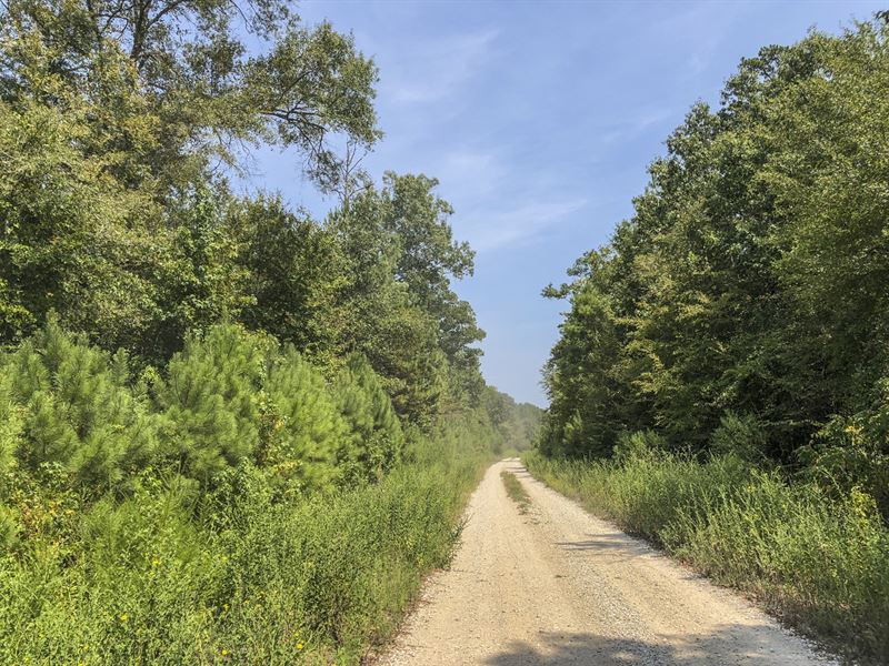 106 Ac Off Spring Ridge Rd : Nacogdoches : San Augustine County : Texas