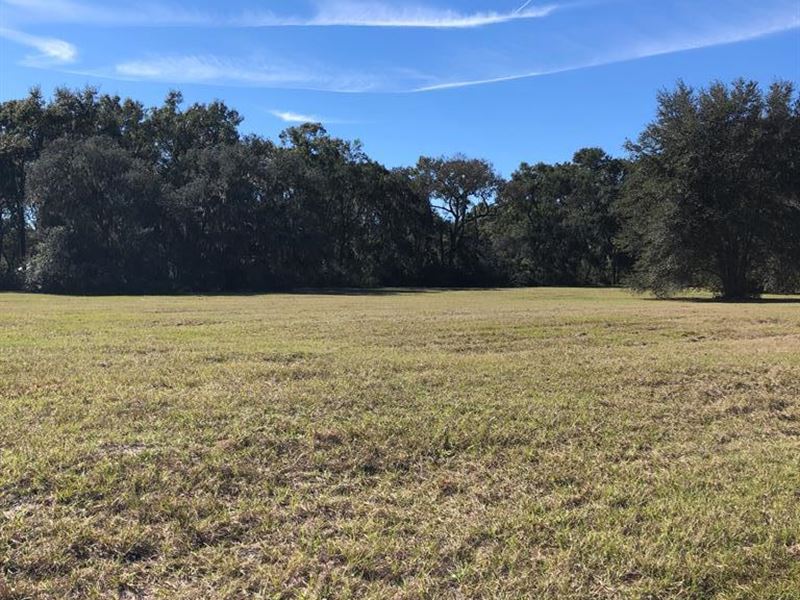 Beautiful 10 Acre Tract 776937 : Chiefland : Levy County : Florida