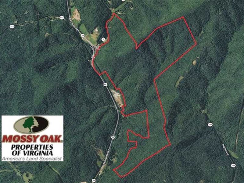 Reduced, 454 Acres of Hunting : Stuart : Patrick County : Virginia