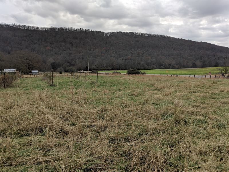 132+/ Acres Little Wills Valley, Farm for Sale in Alabama, 184902