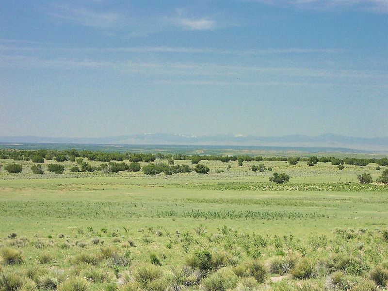 74 Acres Of Prime Arizona Ranchland, Farm for Sale in Arizona, 184924