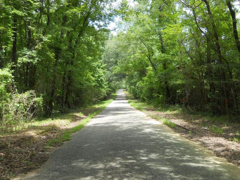 1152 Acres of Hunting Land in Je : Fayette : Jefferson County : Mississippi