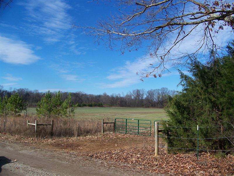 Indian Creek Land Creek Row Crop, Farm for Sale in Tennessee, 185010