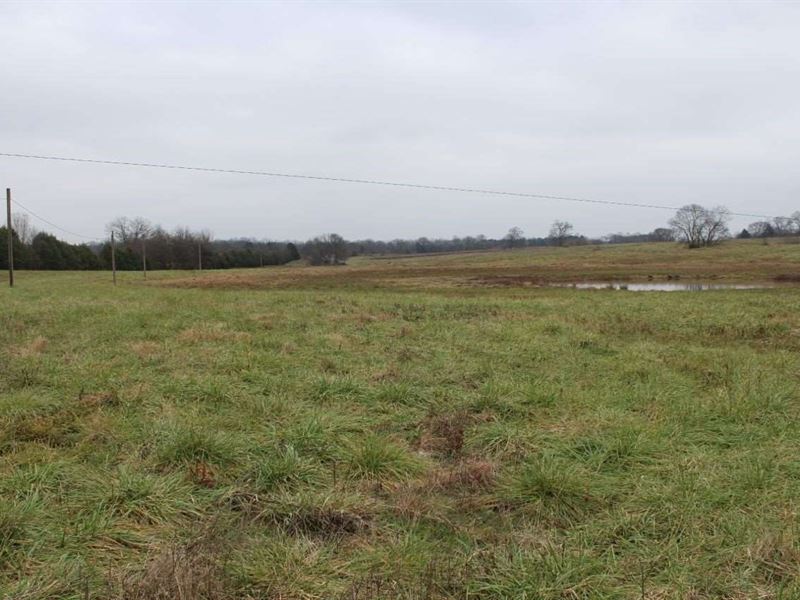 79 Acre Farm Bowling Green, KY Farm for Sale in Bowling Green, Warren County, Kentucky