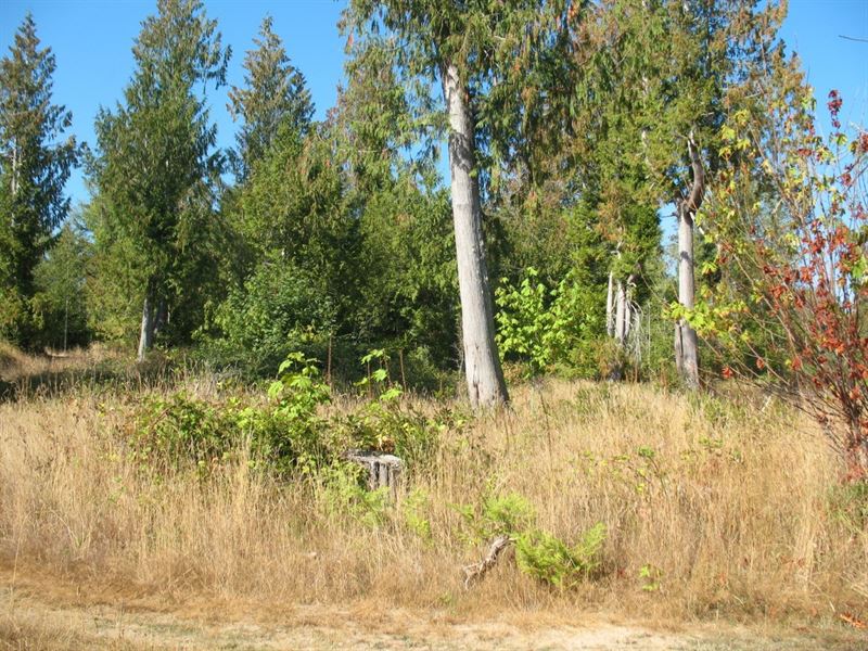 Grapeview 5.4 Acres Prime, Farm for Sale in Washington, 185024 FARMFLIP