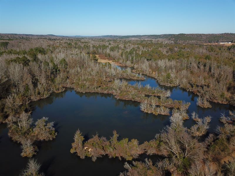 Mulberry Creek Tract Farm for Sale in Plantersville, Dallas County