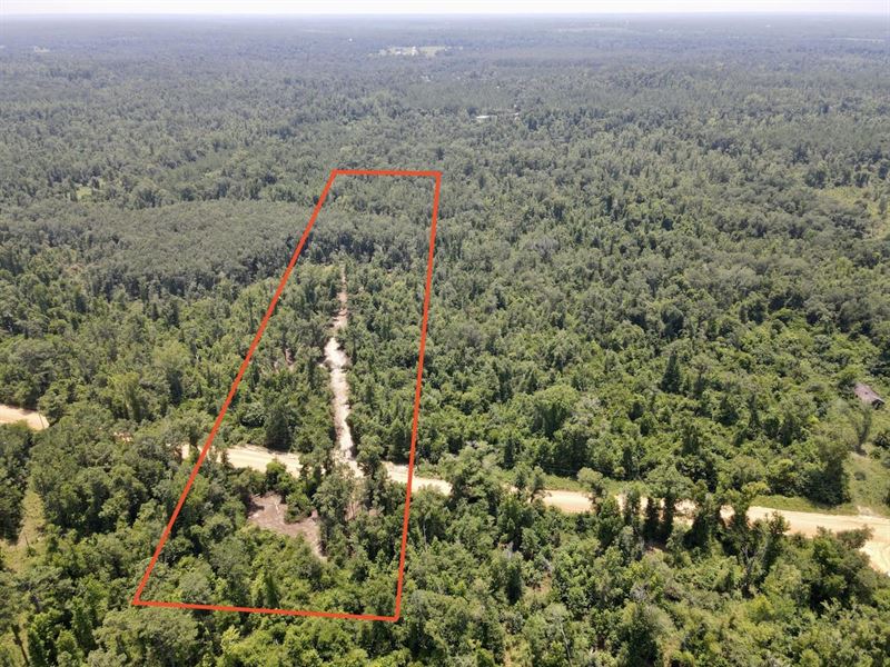 Lovewood 10 Acres : Cottondale : Jackson County : Florida