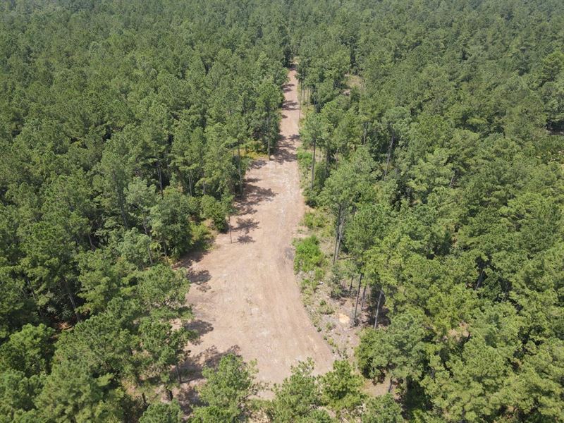 Paradise Homesite : Greenville : Madison County : Florida