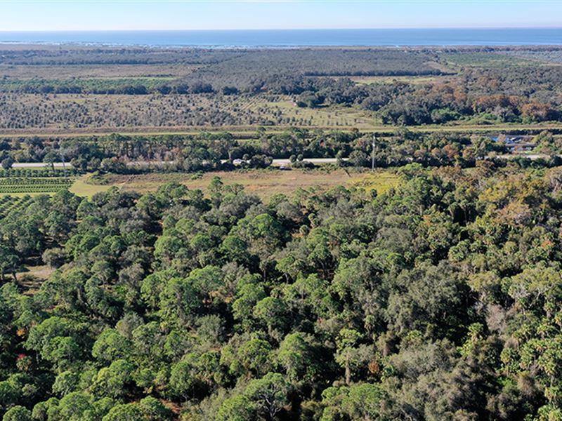 Okeechobee 28 Acres Farm for Sale in Okeechobee, Okeechobee County