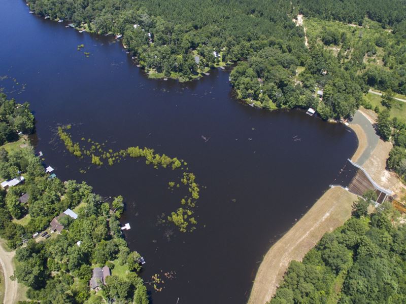 24 Ac Tyler County Getaways T-2 : Colmesneil : Tyler County : Texas